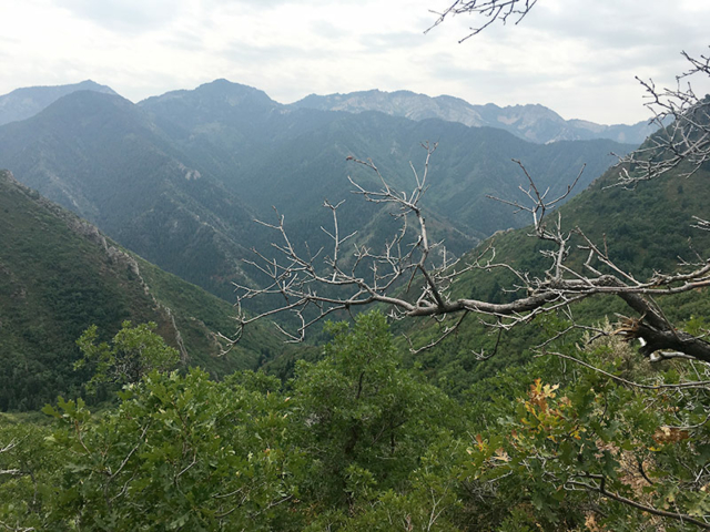 Views of the canyons behind MillCreek canyon at the Grandeur Peak overlook
