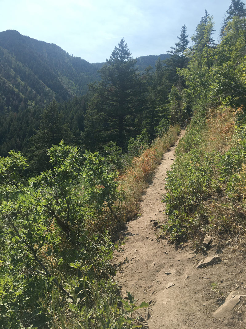 Taking Desolation Trail above Mill Creek Canyon