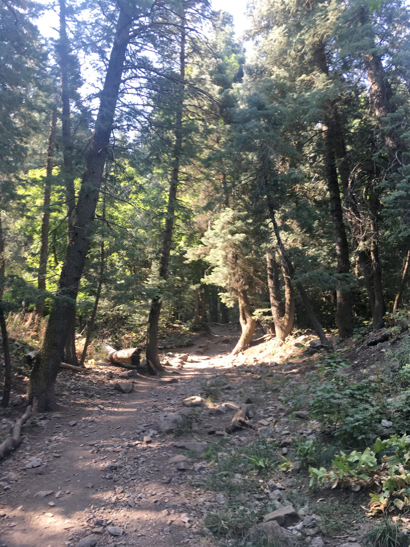 Rocky trail on the Desolation in Mill Creek Canyon