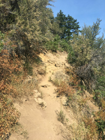 An upper trail on Desolation in Mill Creek Canyon