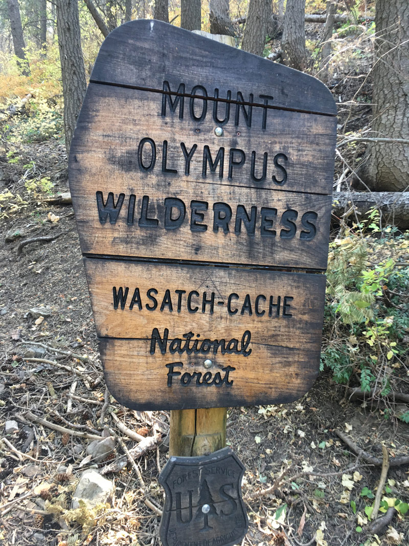 Hiking in the Mount Olympus area, although we were headed up Mt Raymond on this trek. Still in the Wasatch-Cache National Forest